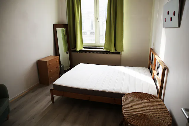 Private room in Rue du Trône, Ixelles (1013794) room image 1