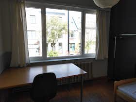 Quarto privado para alugar por € 440 por mês em Antwerpen, Lodewijk van Berckenlaan