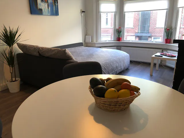 Private room in Kootwijkstraat, The Hague (1016592) room image 81