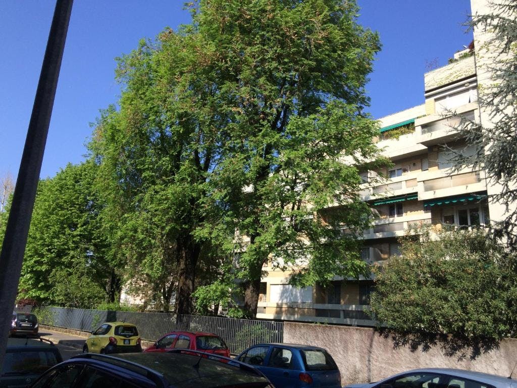 Appartement Milano — photo 30