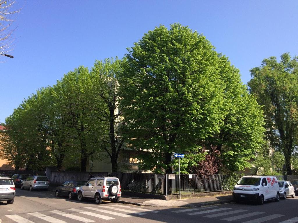 Appartement Milano — photo 29