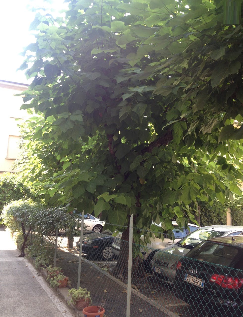 Appartement Bologne, 2 chambres — photo 11