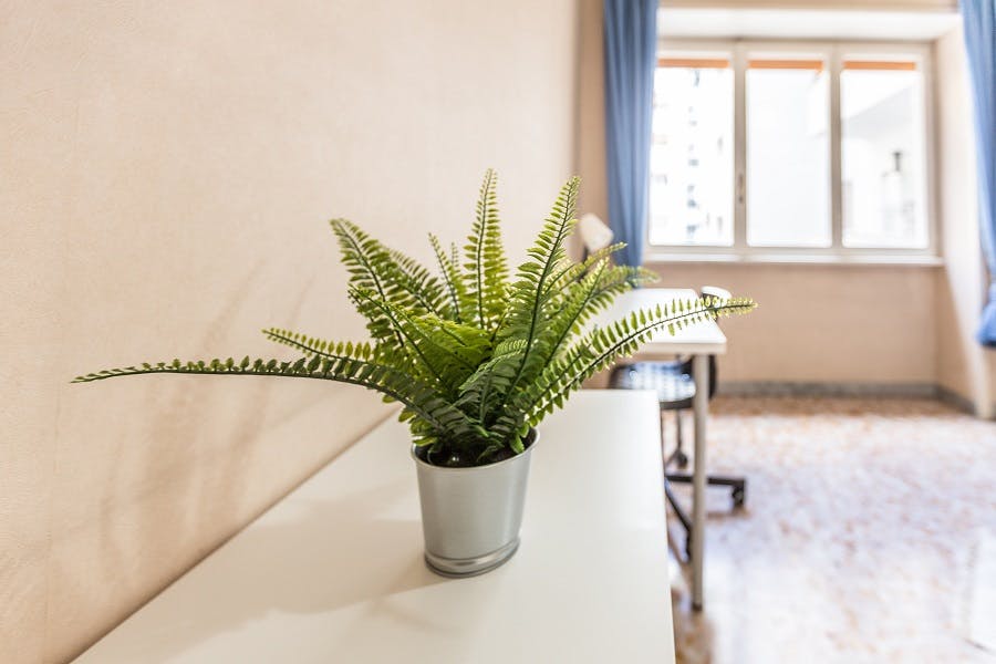 Single room Rome, 1 bed, 15m² — photo 8