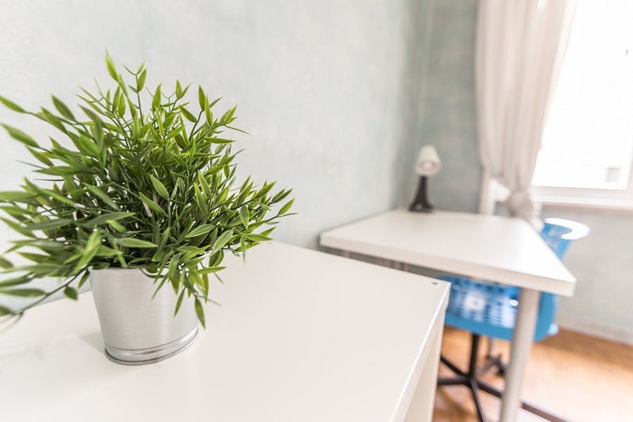 Single room Rome, 1 bed, 15m² — photo 8