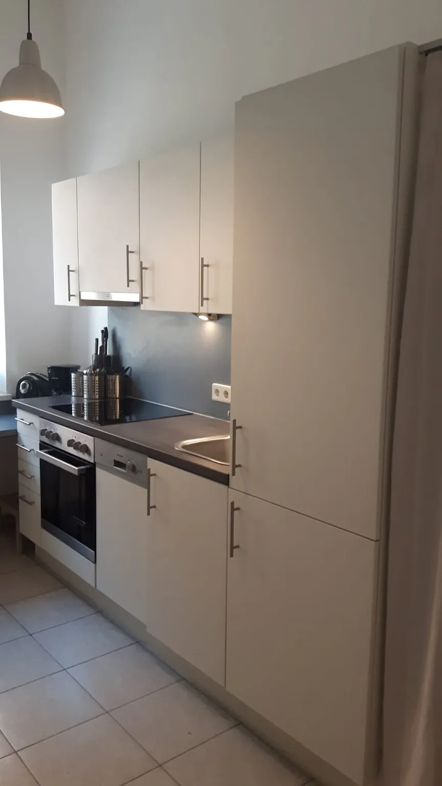 1-Bedroom Apartment in Märzstraße, Vienna (1023712) ROOM 2
