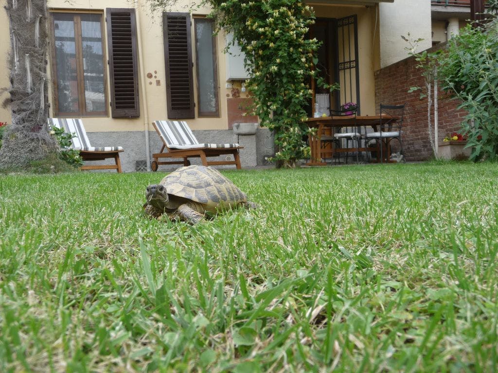 Appartement Firenze — photo 35