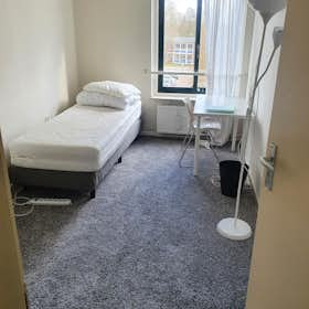 WG-Zimmer zu mieten für 875 € pro Monat in Amsterdam, Aaf Bouberstraat