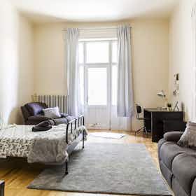 Private room for rent for HUF 162,906 per month in Budapest, Akácfa utca