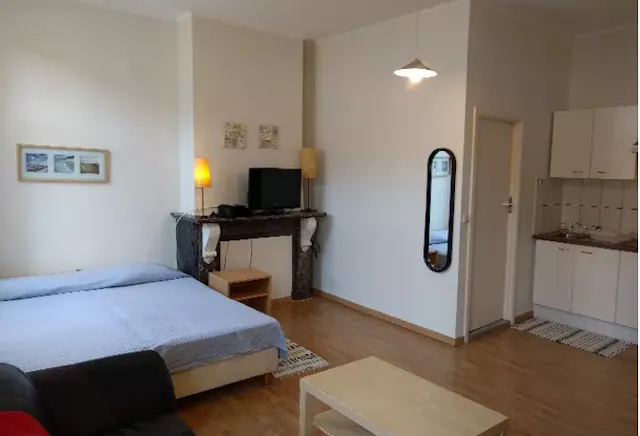 Apartment in Rue Marie-Thérèse, Saint-Josse-ten-Noode (1027654) room image 2