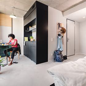 Studio for rent for €1,020 per month in Berlin, Stralsunder Straße