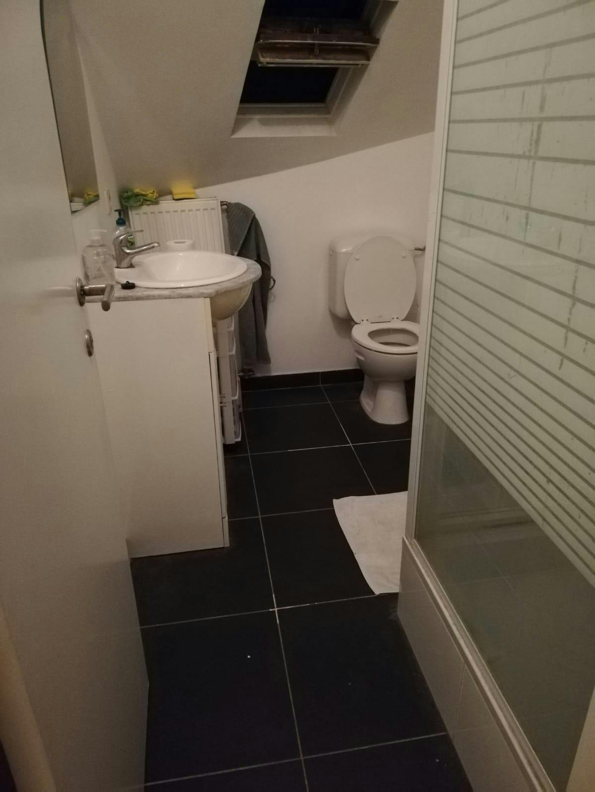 Private room in Rue de Theux, Ixelles (1029269) room image 10