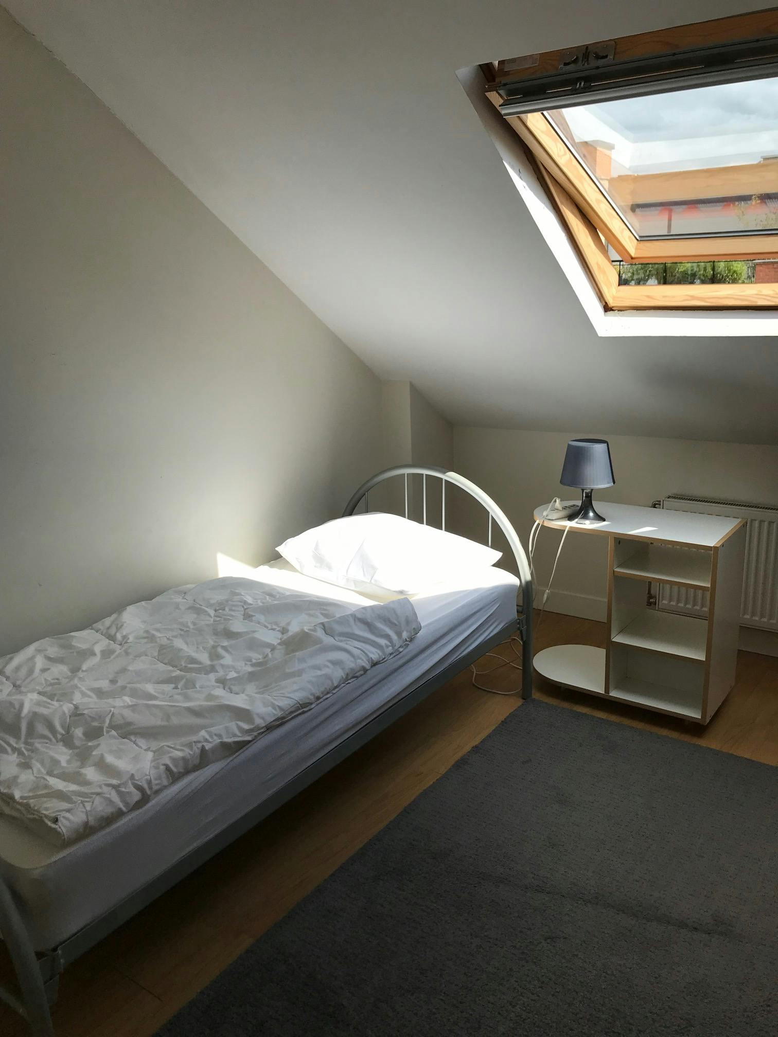 Private room in Rue de Theux, Ixelles (1029269) room image 2