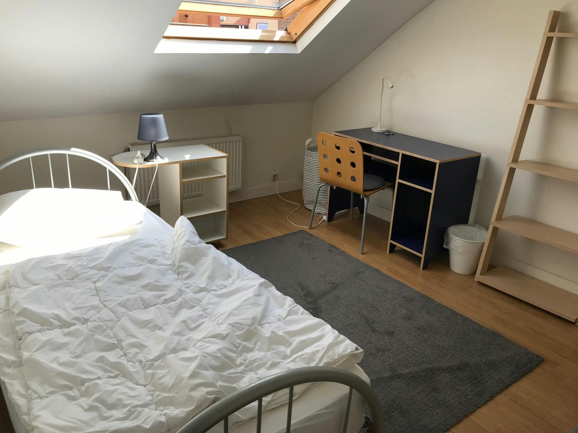 Private room in Rue de Theux, Ixelles (1029269) room image 1