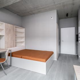 Wohnung zu mieten für 801 € pro Monat in Berlin, Mühlenstraße