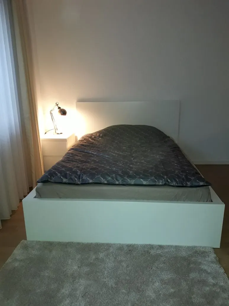 1-Bedroom Apartment in Mittelweg, Hamburg (1031591) ROOM 2
