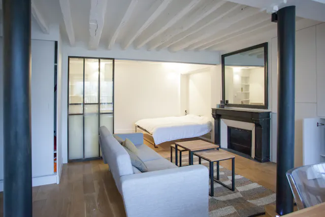 1-Bedroom Apartment in Boulevard des Filles du Calvaire, Paris (1031835) room image 2