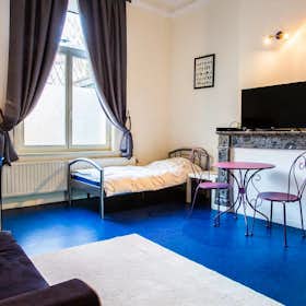 Private room for rent for €595 per month in Brussels, Rue de la Pacification