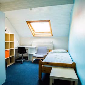 Private room for rent for €570 per month in Brussels, Rue de la Pacification