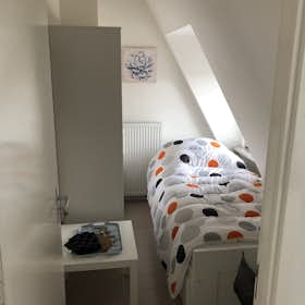 Chambre privée for rent for 800 € per month in Rotterdam, Grote Visserijstraat
