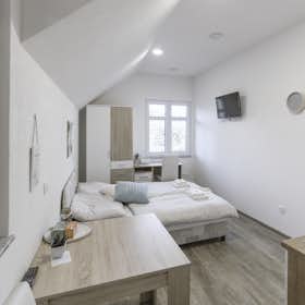 单间公寓 正在以 €375 的月租出租，其位于 Ljubljana, Krakovska ulica