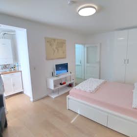 单间公寓 正在以 €1,225 的月租出租，其位于 Köln, Stadtwaldgürtel