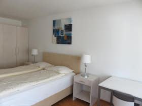 Appartamento in affitto a 3.800 CHF al mese a Zürich, Friesstrasse