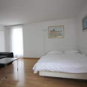 Mieszkanie do wynajęcia za 2365 CHF miesięcznie w mieście Zürich, Zelgstrasse