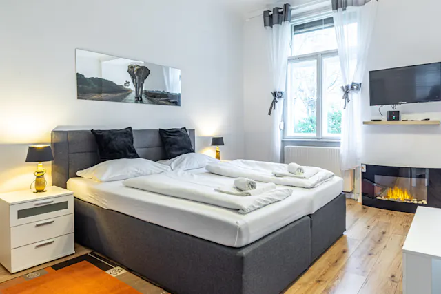 2-Bedroom House in Maygasse, Vienna (1041928) room image 2
