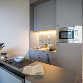 单间公寓 正在以 €729 的月租出租，其位于 Vienna, Schnirchgasse