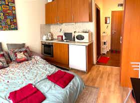 单间公寓 正在以 €185 的月租出租，其位于 Bansko, Ulitsa Stragite