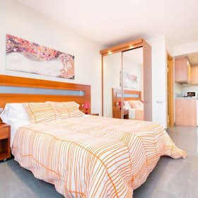 Studio for rent for €1,900 per month in Barcelona, Carrer de Torres i Amat