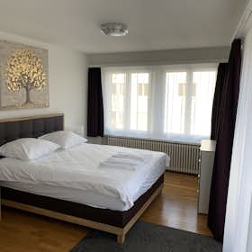 Квартира сдается в аренду за 5 767 CHF в месяц в Zürich, Dahliastrasse