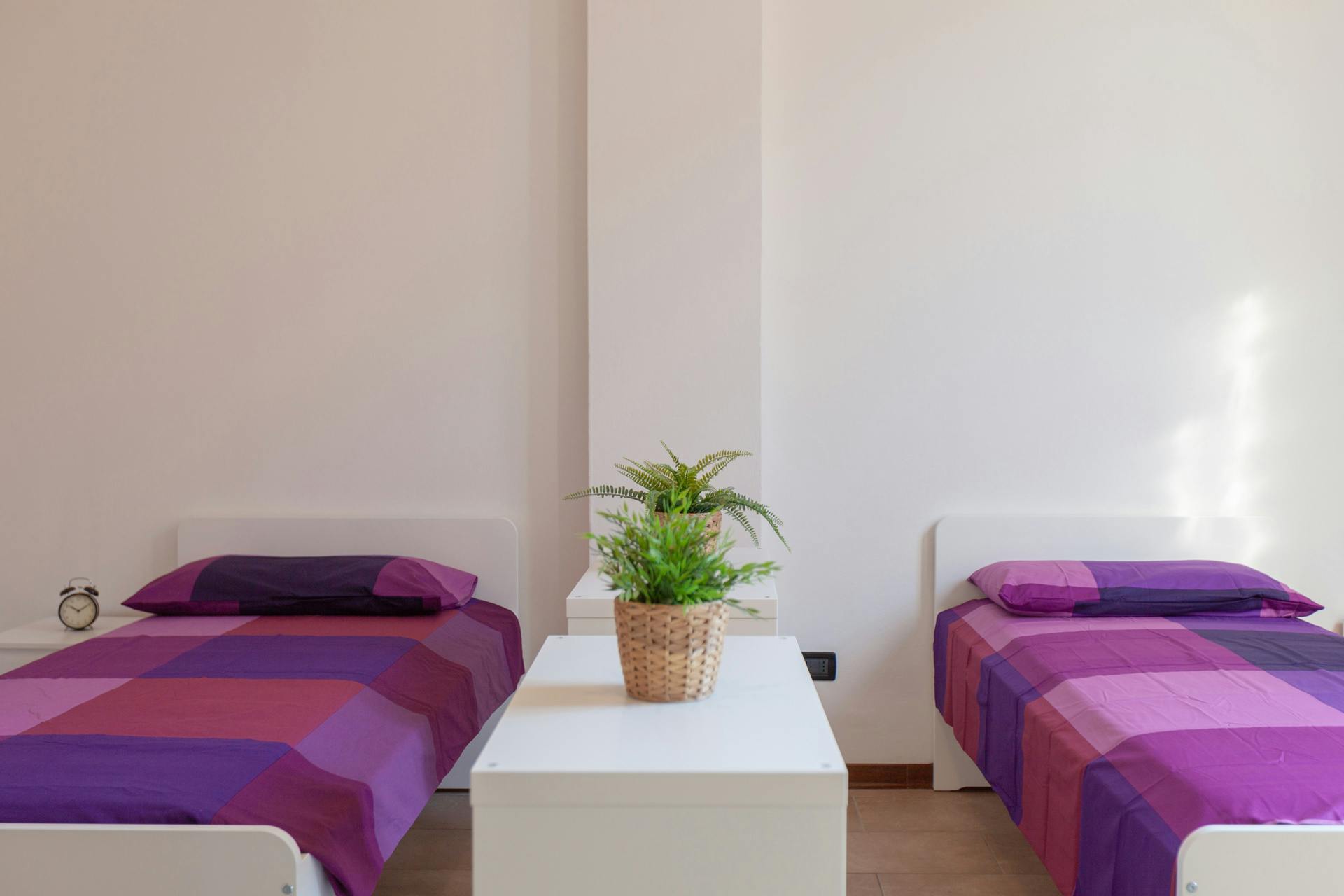 Via Giuseppe Petroni, Bologna preview