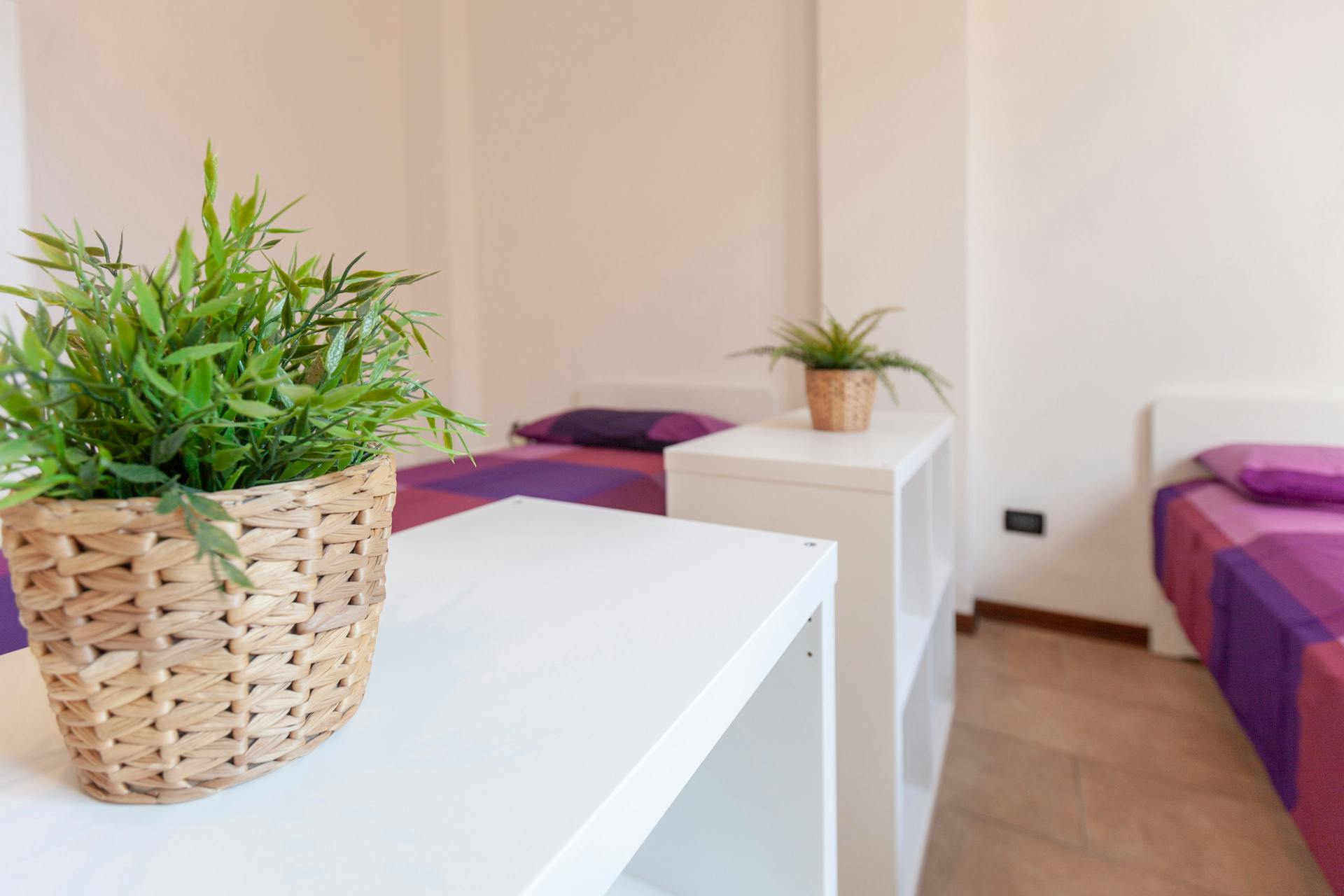 Private room in Via Giuseppe Petroni, Bologna (1047383) room image 60