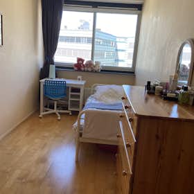 Private room for rent for €800 per month in Rotterdam, Gedempte Zalmhaven