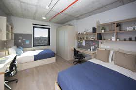 Cameră comună de închiriat pentru 535 EUR pe lună în Porto, Rua Manuel Pacheco de Miranda