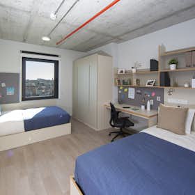 共用房间 正在以 €535 的月租出租，其位于 Porto, Rua Manuel Pacheco de Miranda