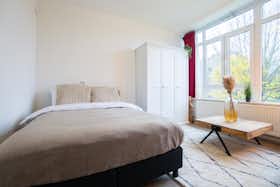 Отдельная комната сдается в аренду за 750 € в месяц в Rotterdam, Ellewoutsdijkstraat