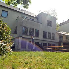 WG-Zimmer for rent for 200 € per month in Würzburg, Salvatorstraße