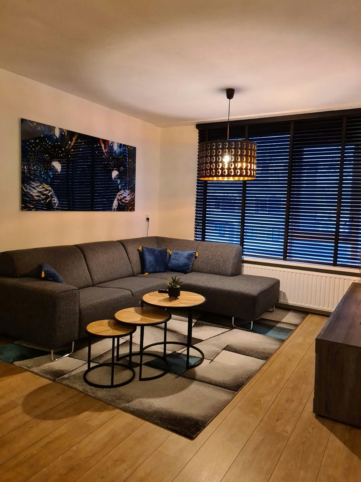 Woning aan Alerdincksingel, Rotterdam