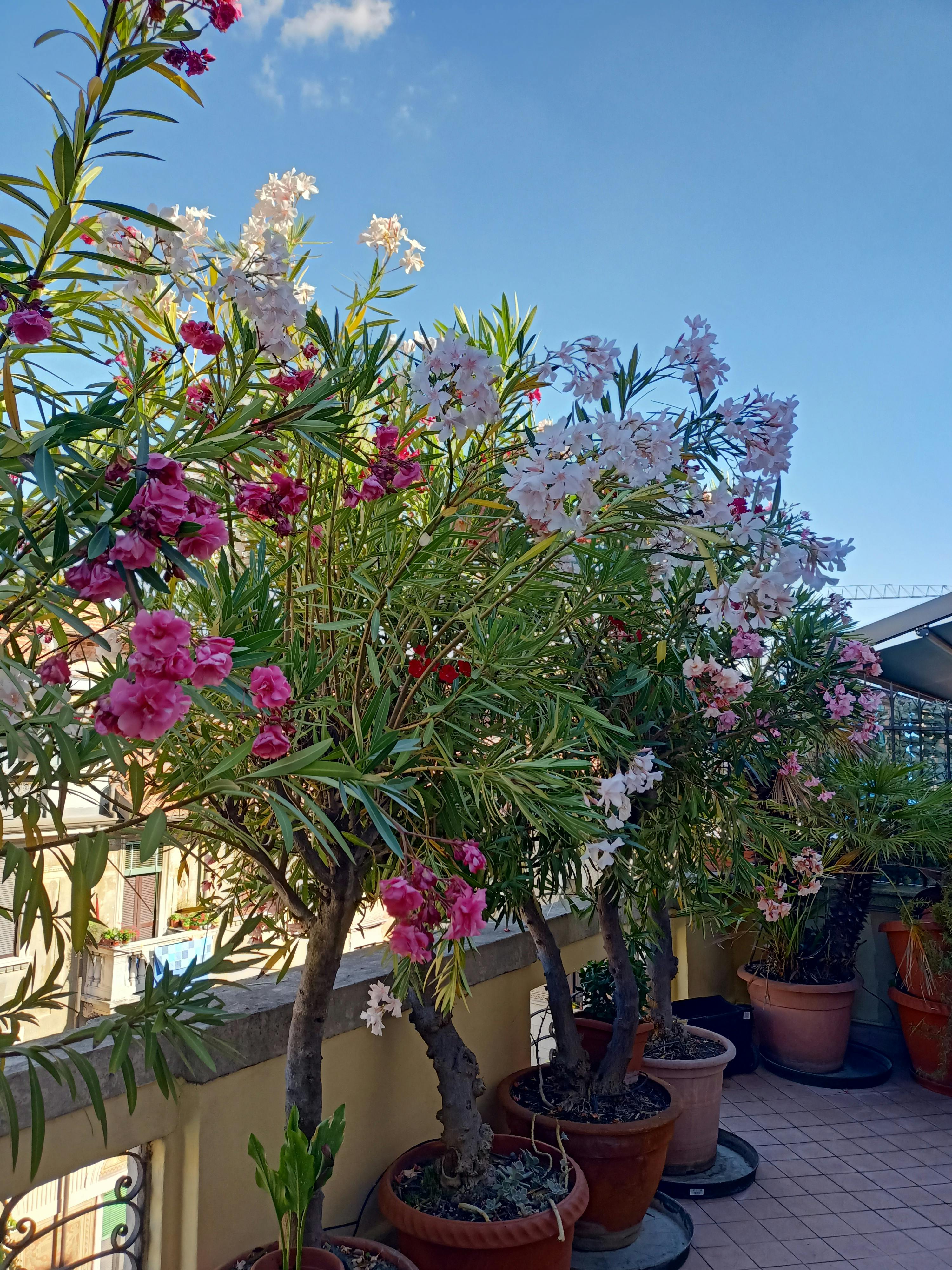 Apartment Milano — photo 43
