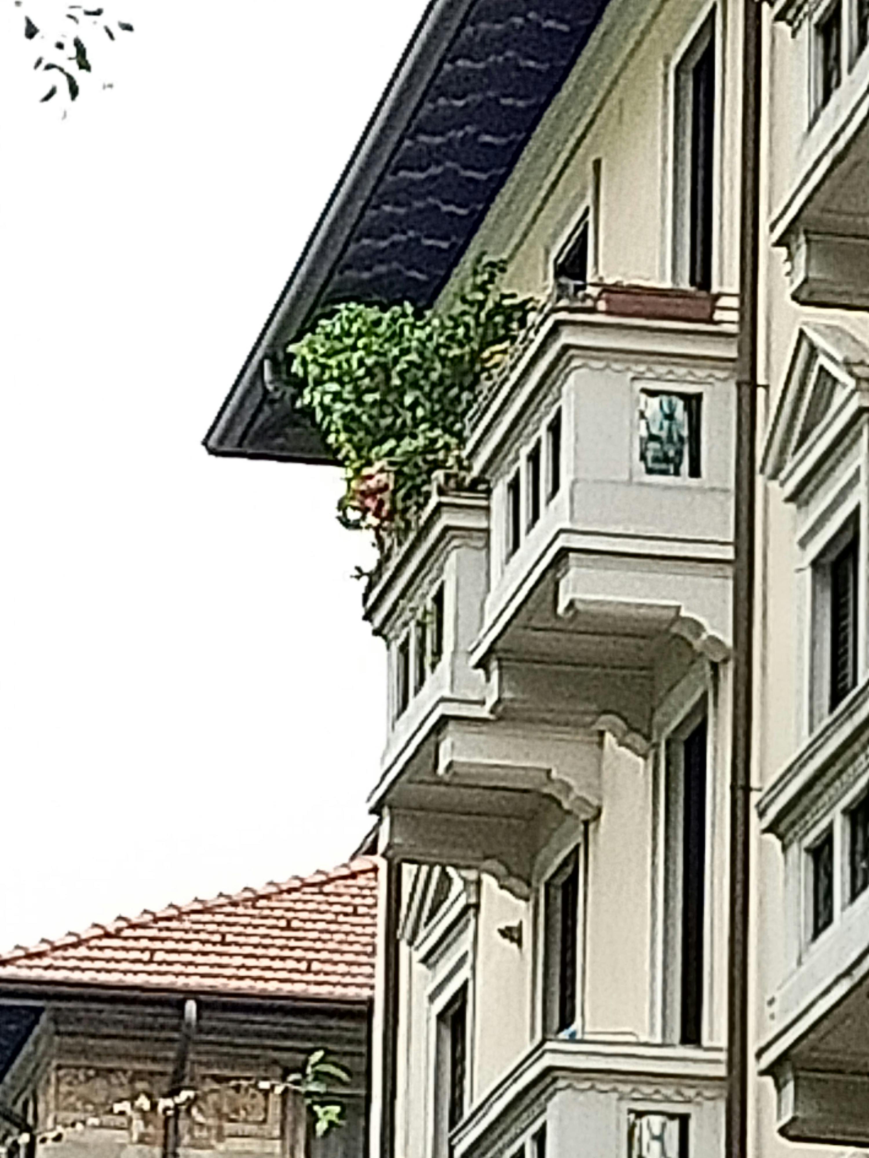 Apartment Milano — photo 42