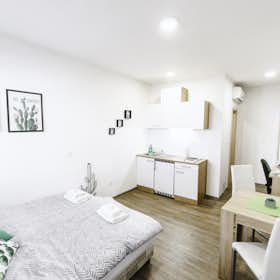Studio for rent for € 375 per month in Ljubljana, Krakovska ulica