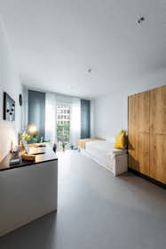 单间公寓 正在以 €800 的月租出租，其位于 Essen, Friedrich-Ebert-Straße