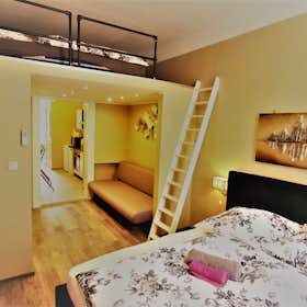 Studio for rent for €1,350 per month in Vienna, Schnirchgasse