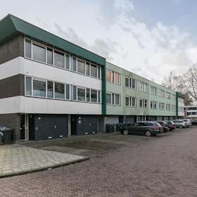WG-Zimmer for rent for 495 € per month in Enschede, Hasselobrink