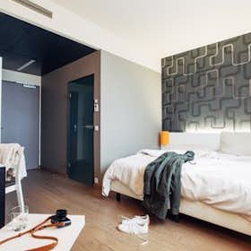单间公寓 正在以 €2,100 的月租出租，其位于 Dornbirn, Klostergasse