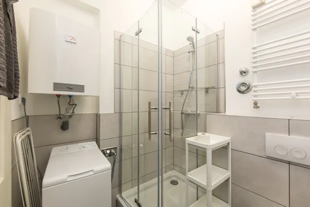 Private room in Brandenburgische Straße, Berlin (1059515) room image 10