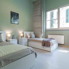 Shared room for rent for €490 per month in Milan, Via Ambrogio Binda