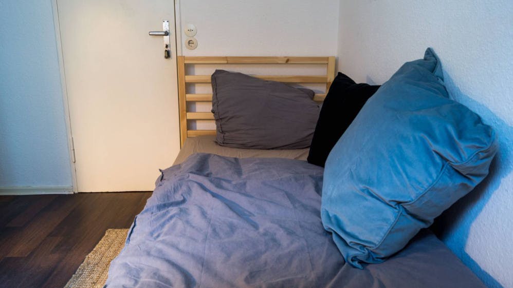 Willmanndamm, Berlin preview